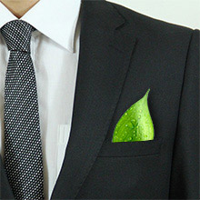 environmental-consulting-services